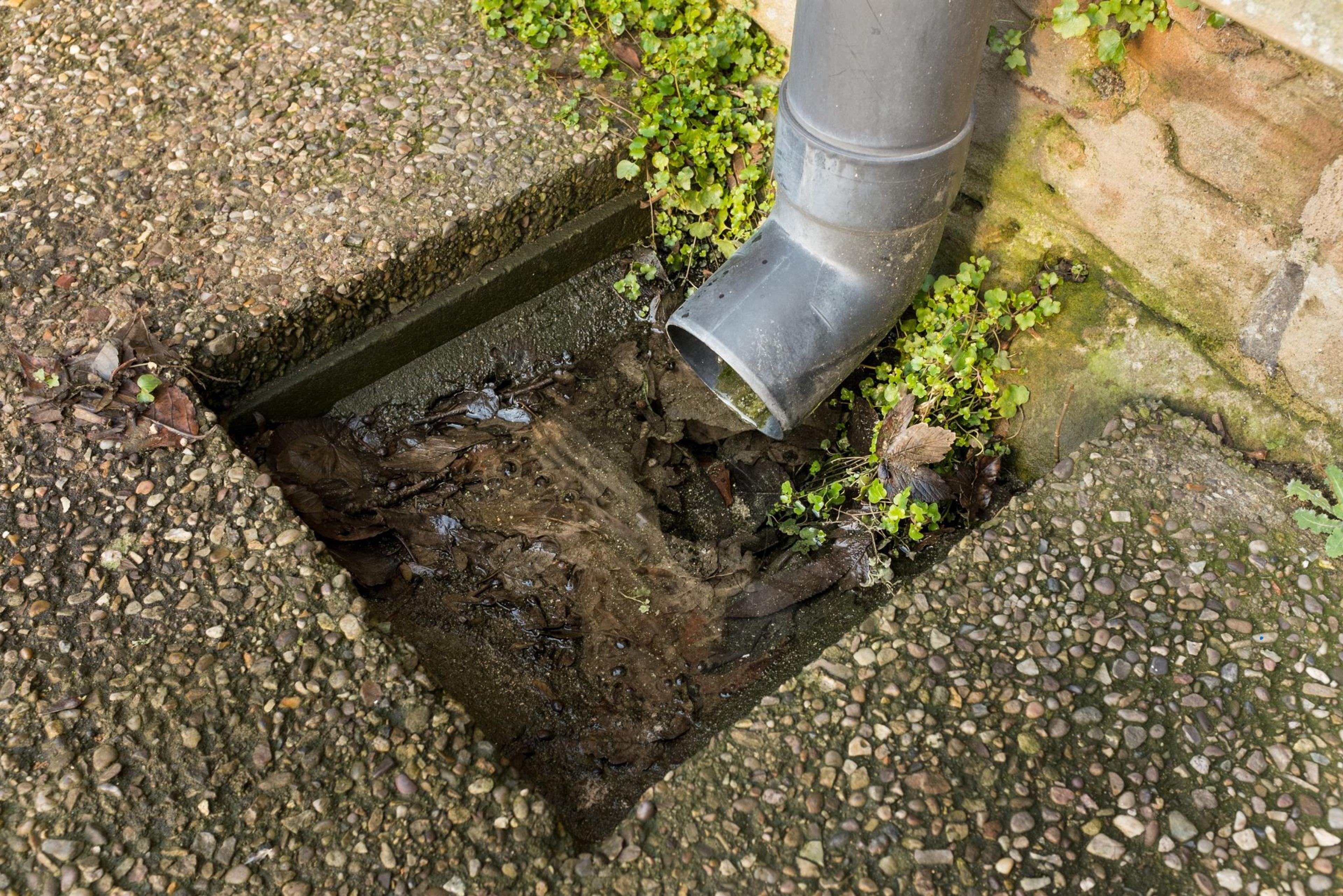 Cover image for The Top 5 Signs Your Drain is About to Block