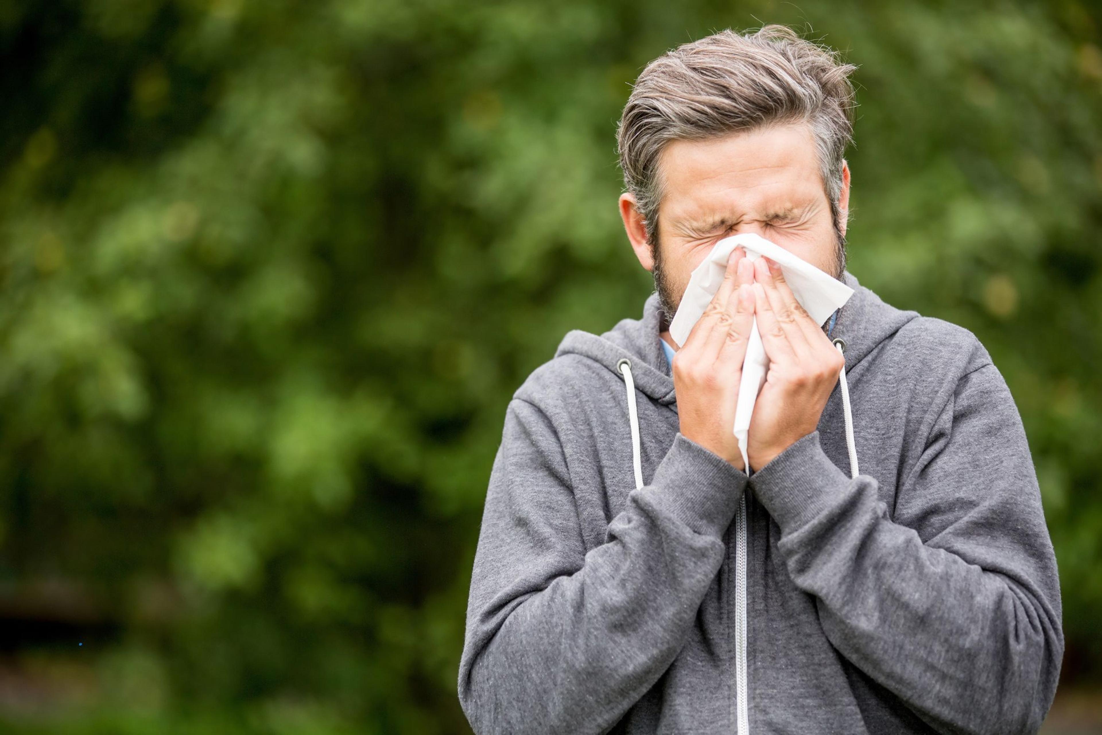 Cover image for Hay fever Treatment South Yorkshire